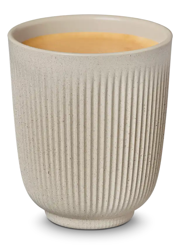 Nude gran lungo bollar